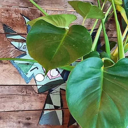 Apartamento Les Pourquoi Pas - Résidence De Tourisme Dsv Bayeux