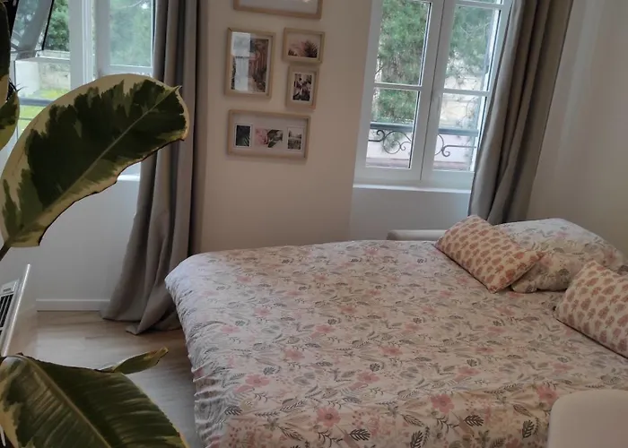 Les Pourquoi Pas - De Tourisme Dsv *