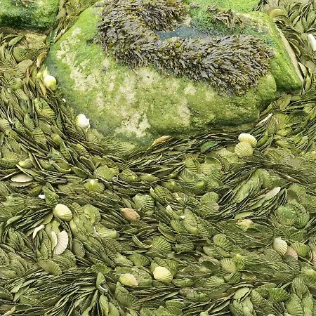 Les Pourquoi Pas - De Tourisme Dsv *