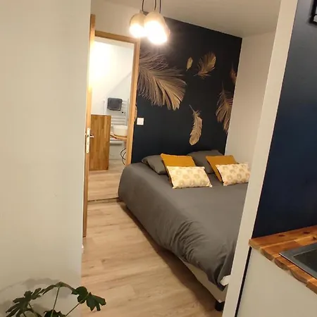 Apartmán Les Pourquoi Pas - De Tourisme Dsv *
