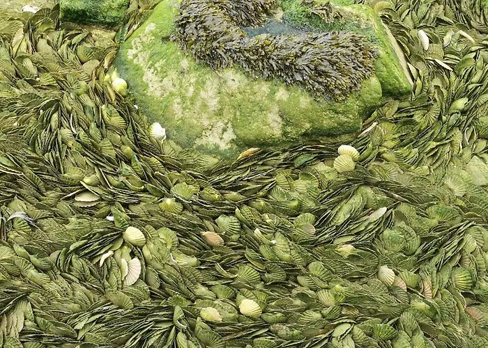 Les Pourquoi Pas - Résidence De Tourisme Dsv *