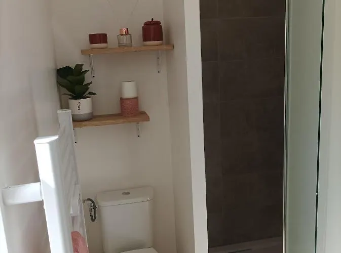 Les Pourquoi Pas - De Tourisme Dsv *