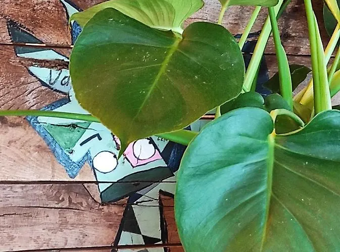 Apartment Les Pourquoi Pas - De Tourisme Dsv Bayeux