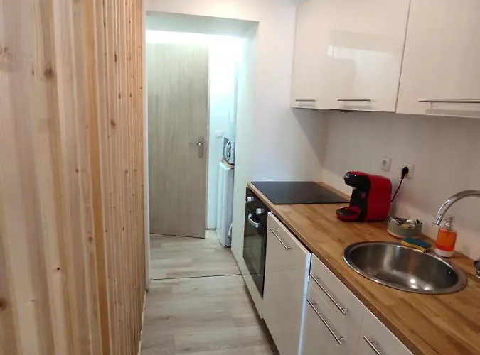 Les Pourquoi Pas - De Tourisme Dsv Apartment *