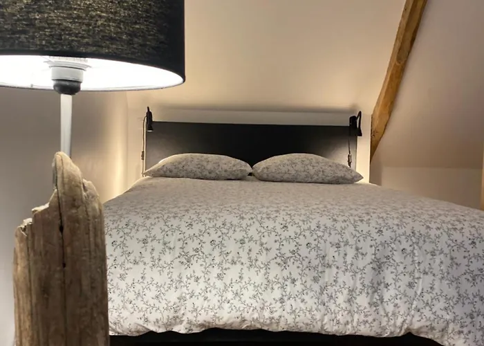 Apartamento Les Pourquoi Pas - Résidence De Tourisme Dsv